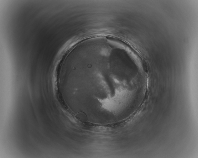 X0000114440339200910161359