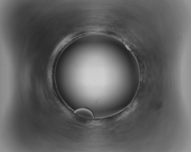 X0000114440341200910161359