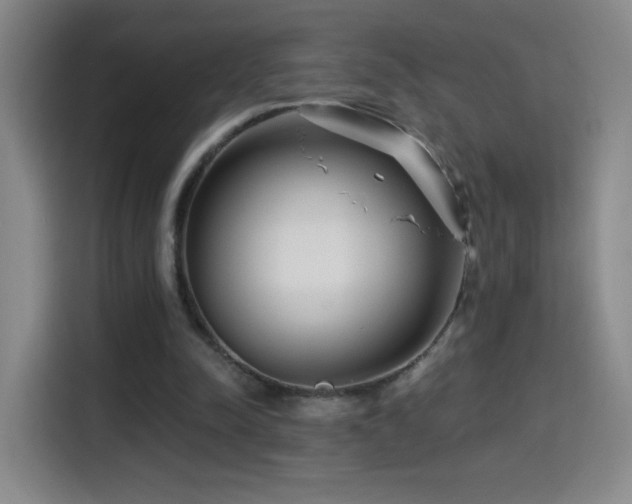 X0000114440342200910161359