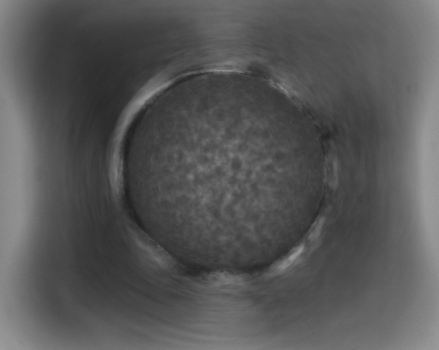 X0000114440343200910161359