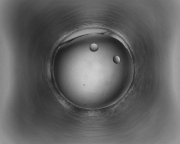 X0000114440345200910161359