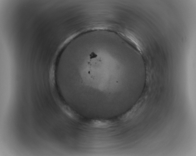X0000114440346200910161359
