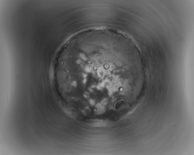 X0000114440347200910161359