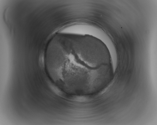 X0000114440349200910161400