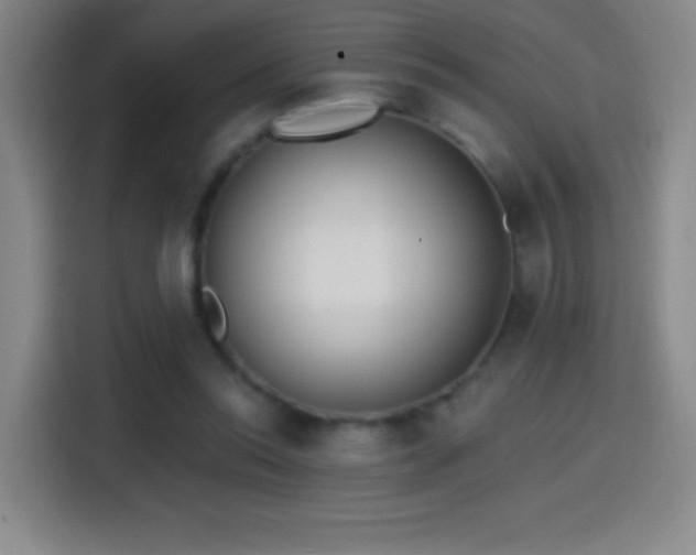 X0000114440350200910161400