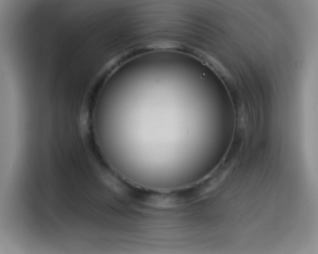 X0000114440351200910161400