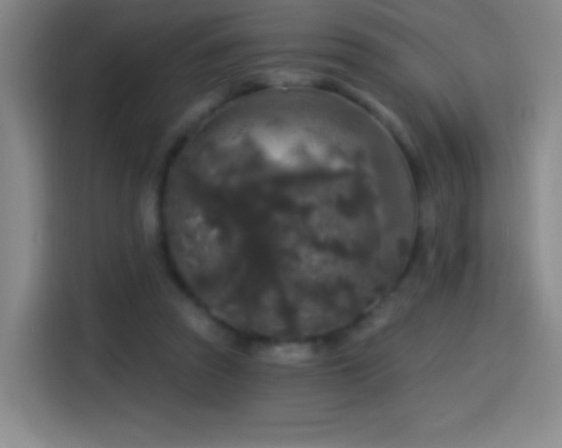 X0000114440353200910161400