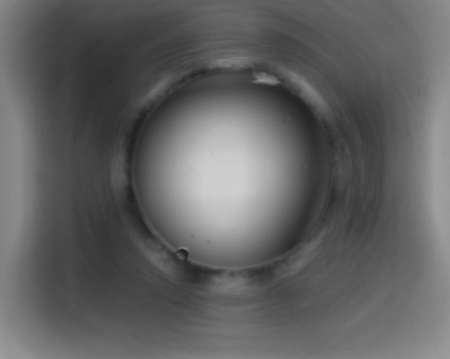 X0000114440354200910161400