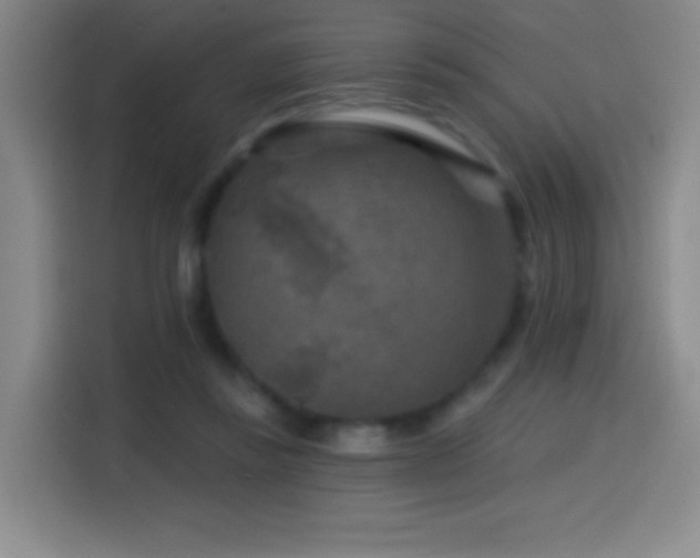 X0000114440355200910161400