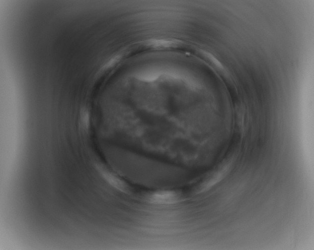 X0000114440357200910161400