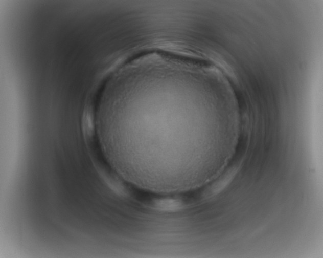 X0000114440358200910161400