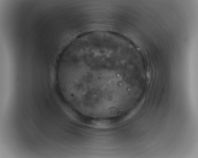 X0000114440359200910161400