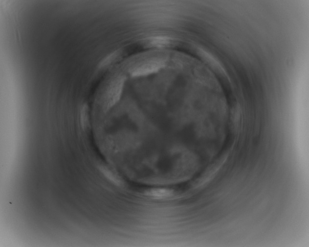 X0000114440361200910161400