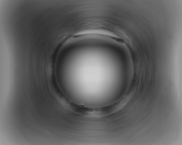 X0000114440362200910161400
