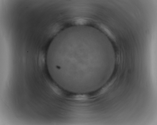 X0000114440363200910161400