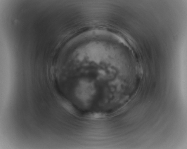 X0000114440365200910161400