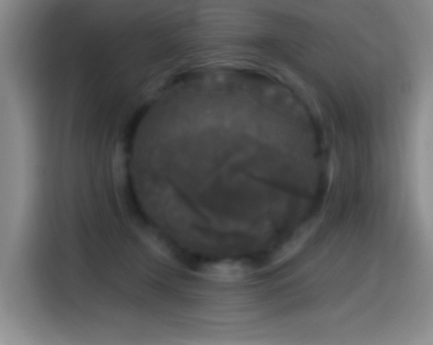 X0000114440366200910161400