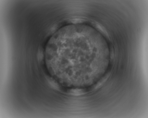 X0000114440367200910161400
