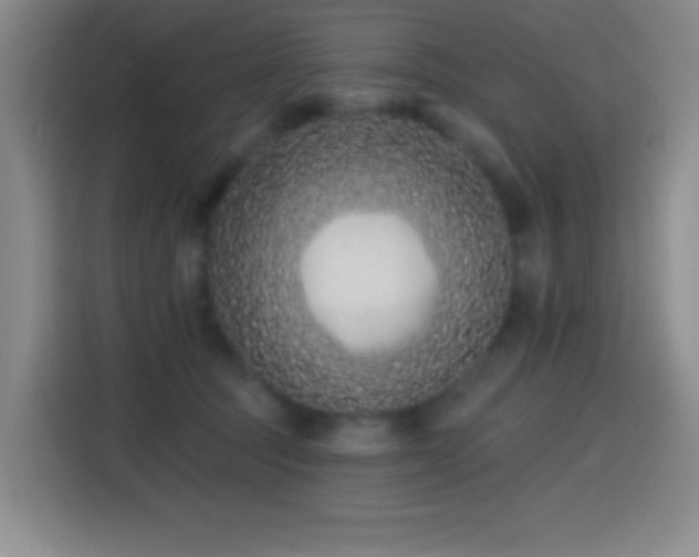 X0000114440369200910161400