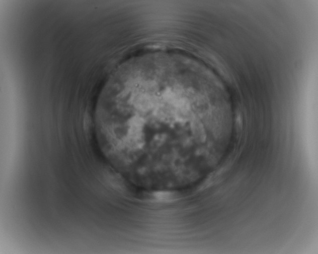 X0000114440371200910161400