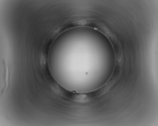 X0000114440374200910161400