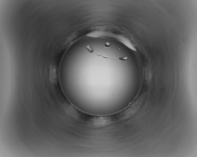X0000114440378200910161400