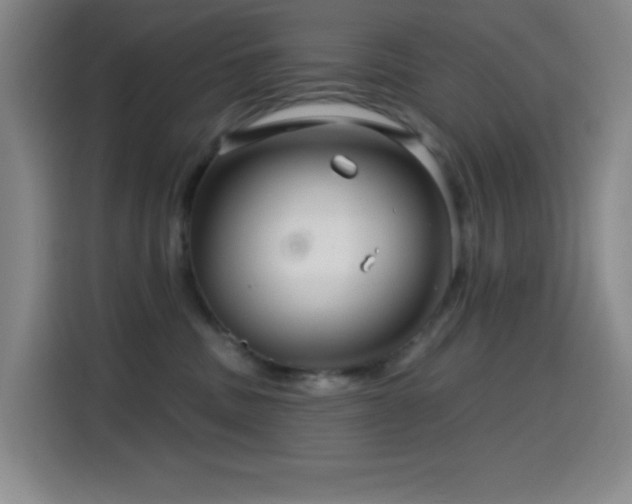 X0000114440379200910161400