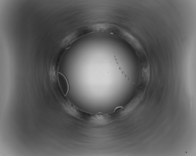 X0000114440381200910161400