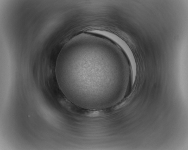 X0000114440382200910161400