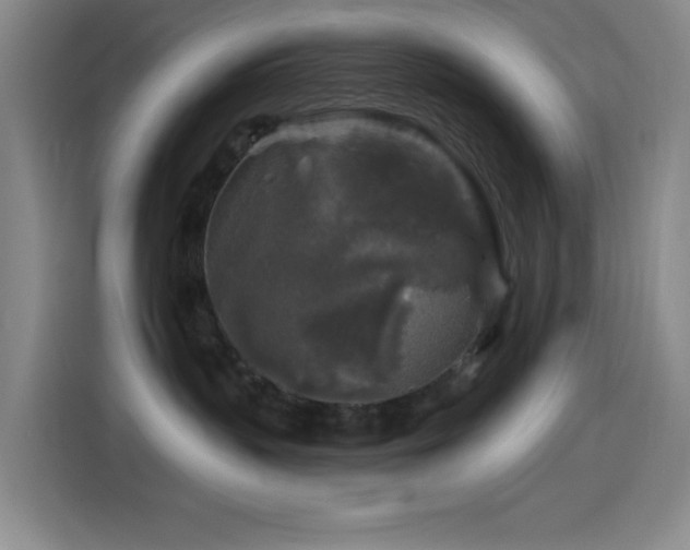 X0000114440383200910161400