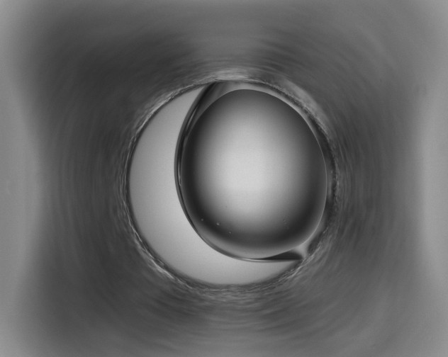 X0000114440385200910161359