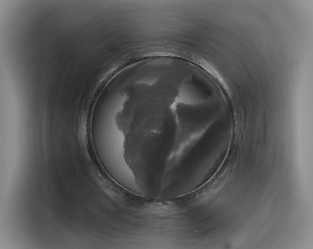 X0000114440386200910161359