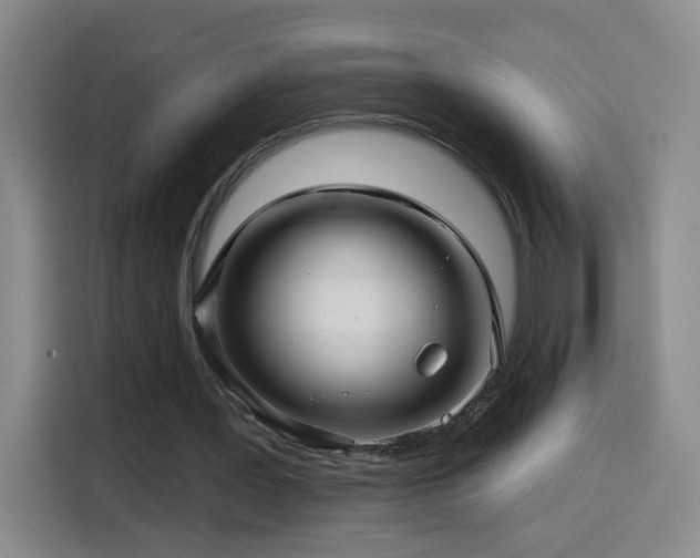 X0000114440387200910161359
