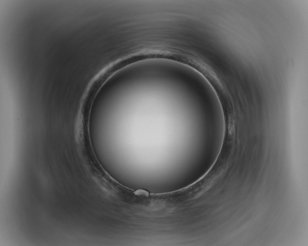X0000114440388200910161359
