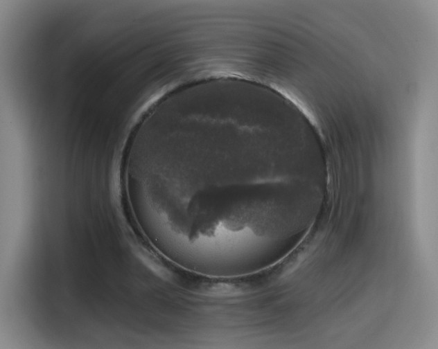 X0000114440390200910161359
