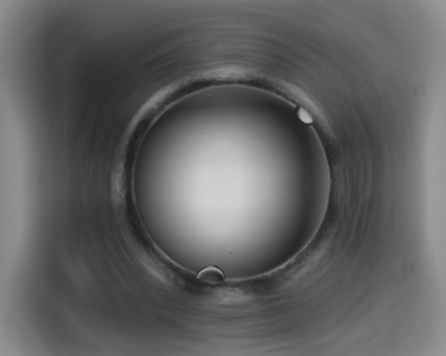 X0000114440392200910161359