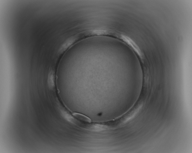 X0000114440393200910161359
