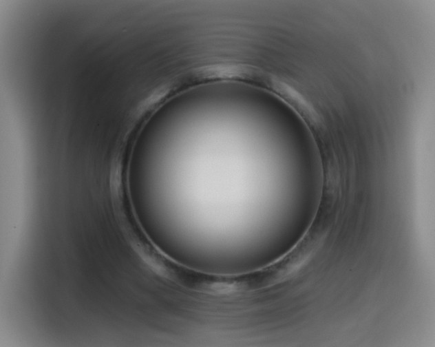 X0000114440394200910161359