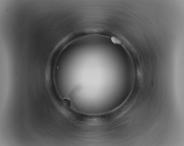 X0000114440396200910161359