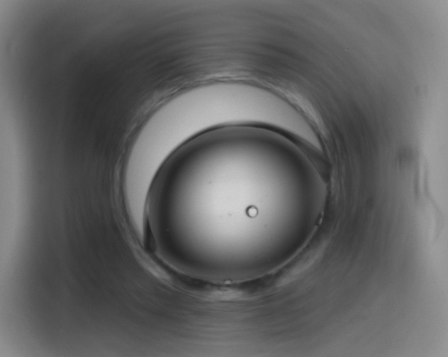 X0000114440397200910161359