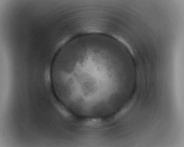 X0000114440398200910161359