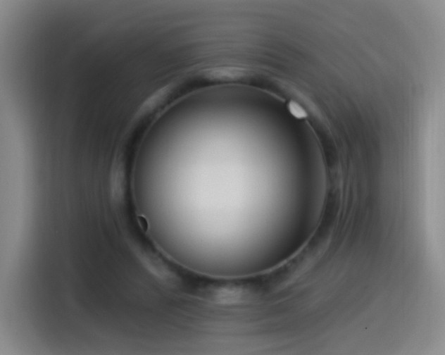 X0000114440400200910161359