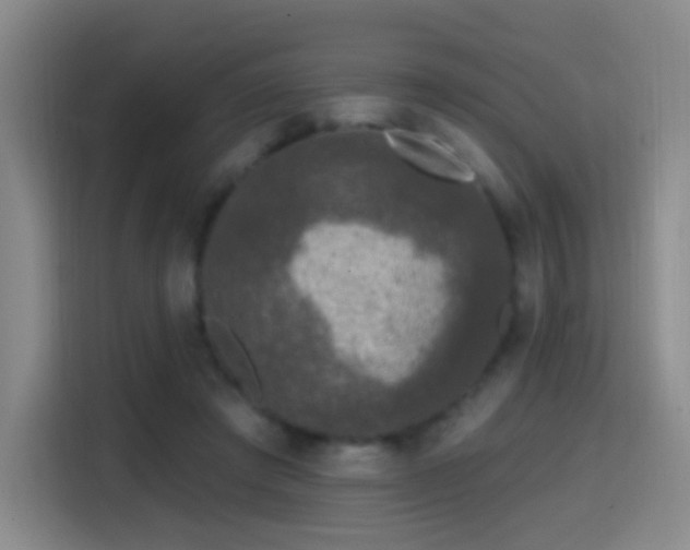 X0000114440401200910161359