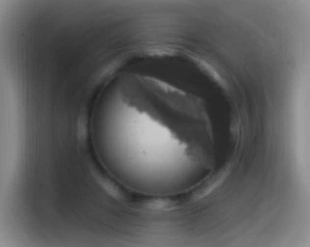 X0000114440402200910161359