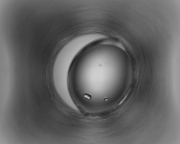 X0000114440403200910161359