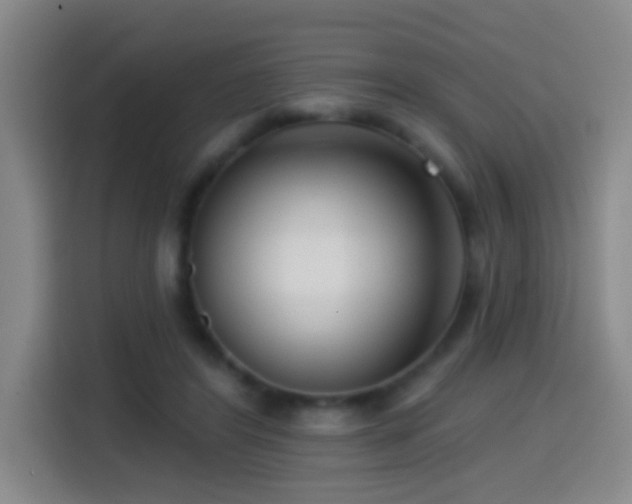X0000114440404200910161359
