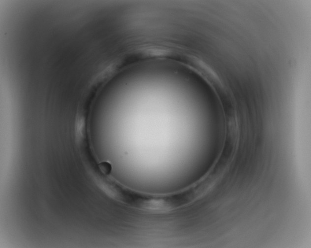 X0000114440406200910161359