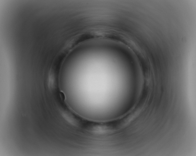 X0000114440408200910161359