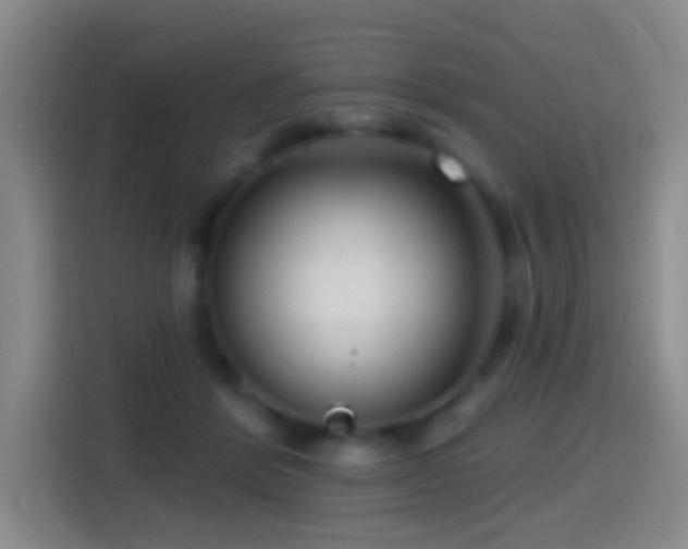 X0000114440412200910161359