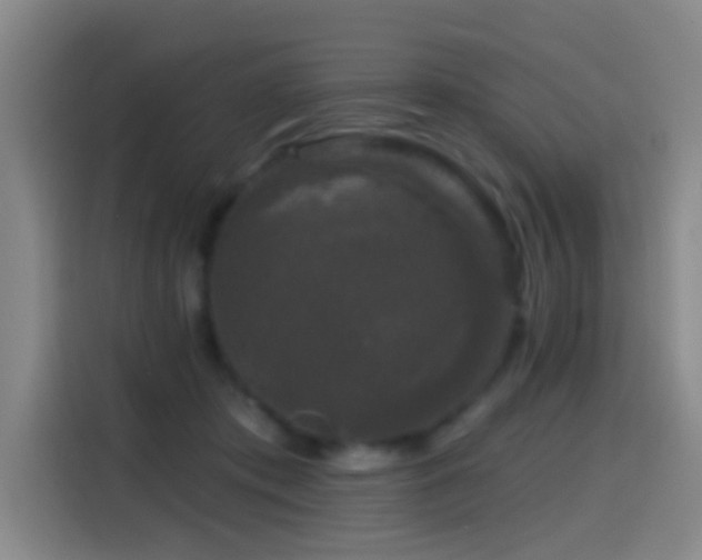 X0000114440413200910161359
